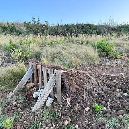 The Blanco Ericeira بيت ضيافة