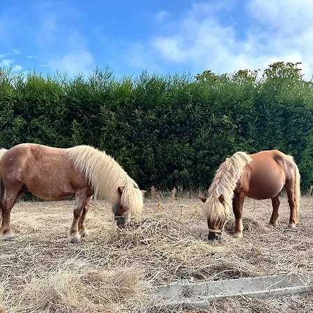 Penzion The Blanco Ericeira