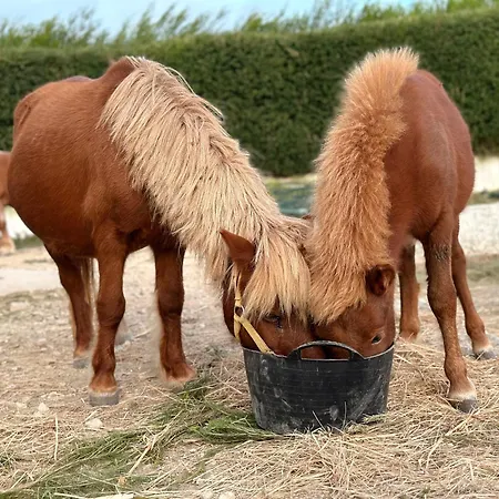 Penzion The Blanco Ericeira São Pedro da Cadeira