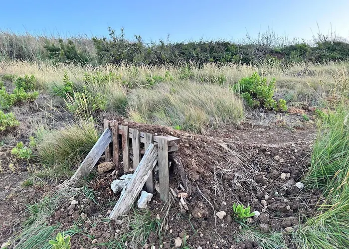 The Blanco Ericeira Gæstehus